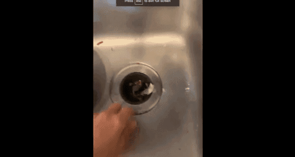gif of reviewer removing the OXO drain cover from sink and dumping contents into compost