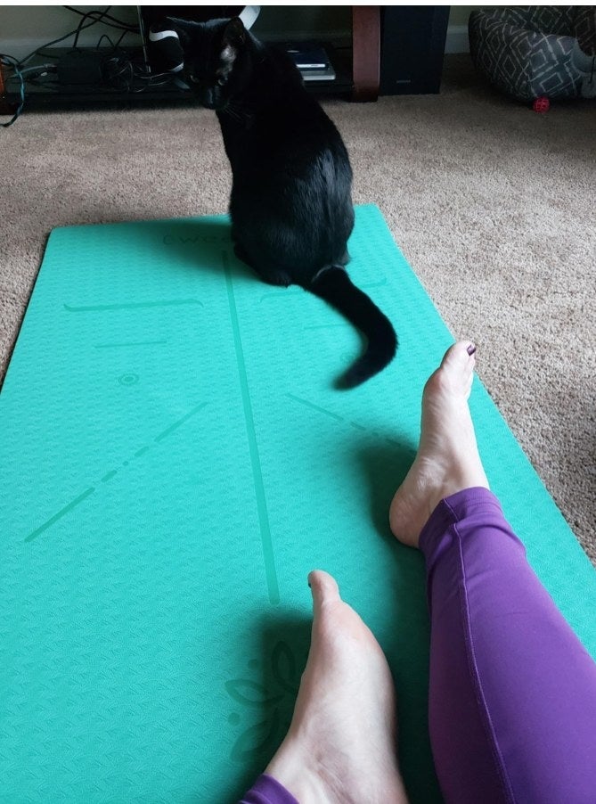 A blue-green yoga mat with lines in a reviewer&#x27;s home with a cat