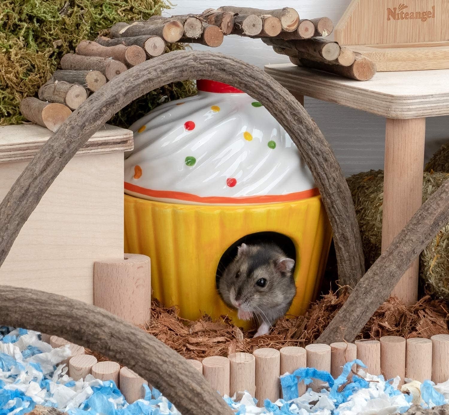 a hamster in the white and yellow cupcake enclosure