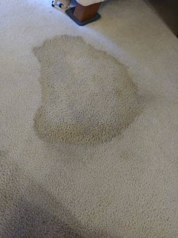 reviewer image of a large stain on carpet