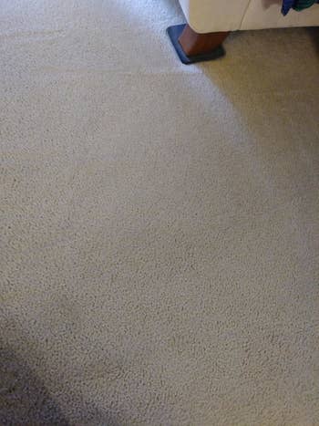 reviewer image of the same carpet completely stain free after using grandma's secret spot remover
