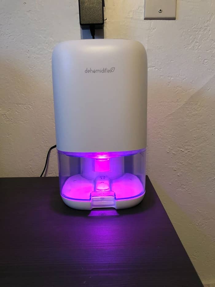 Reviewer dehumidifier on table