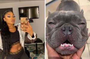 Meg Thee Stallion takes a picture in a mirror with a black and brown two piece alongside a picture of her gray dog with face wrinkles. 