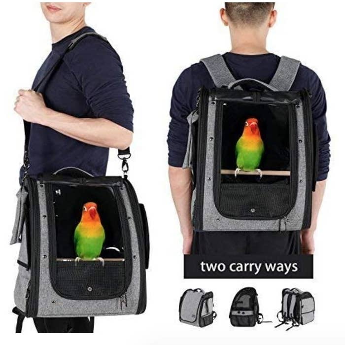 A model showing the two carry ways the bird carrier offers; messenger style and backpack style