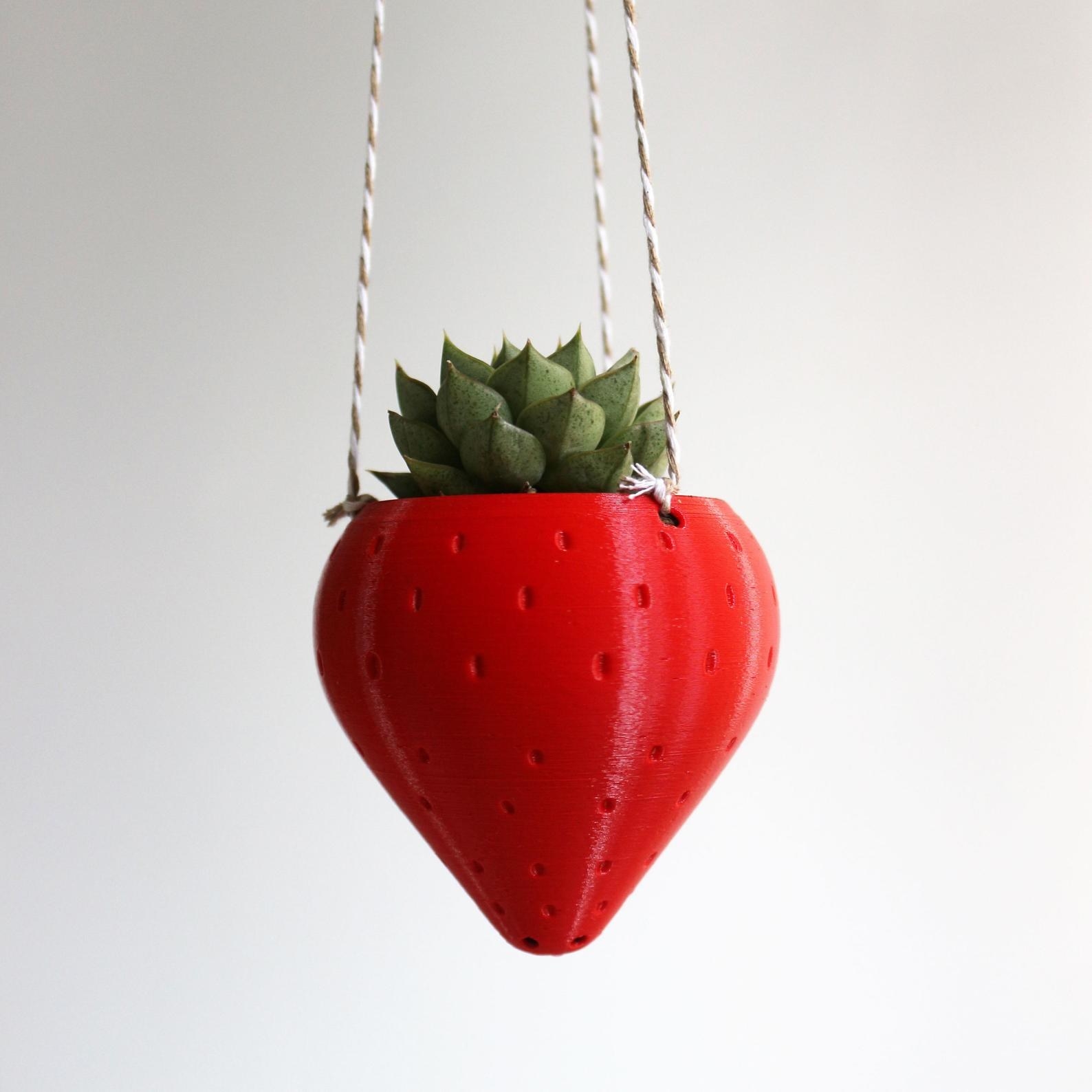 the red strawberry-shaped planter holding a succulent