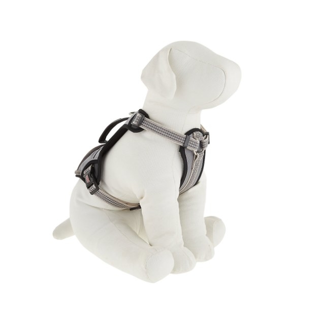 bunny leash petsmart