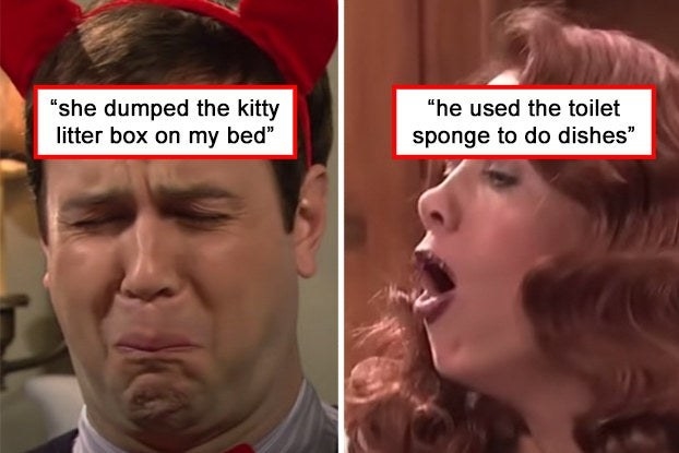 &quot;She dumped the kitty litter box on my bed&quot; and &quot;he used the toilet sponge to do dishes&quot; 