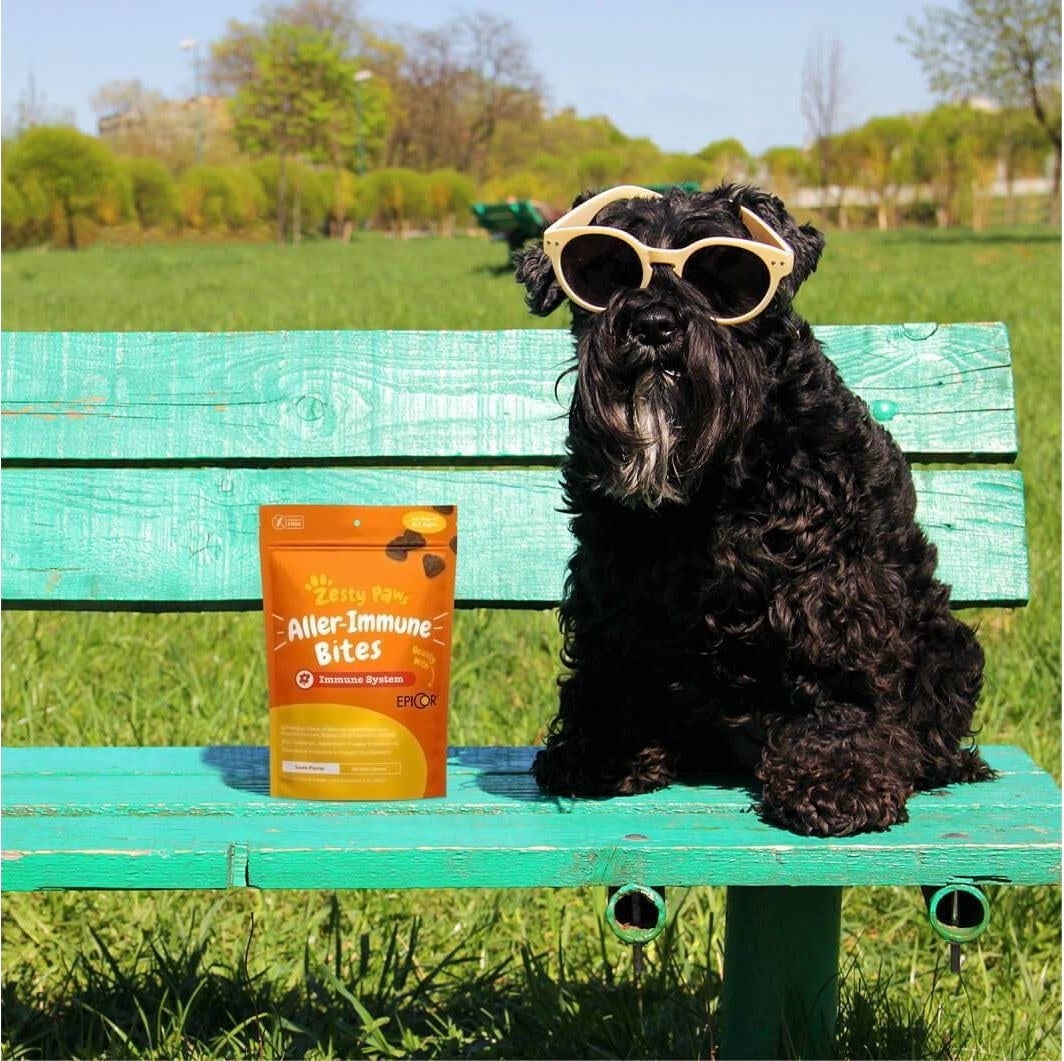 Dog sitting on a bench wearing sunglasses and sitting next to a bag of the supplement