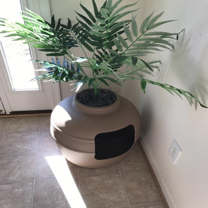 28 Amazon HighlyReviewed, ProblemSolving Cat Products