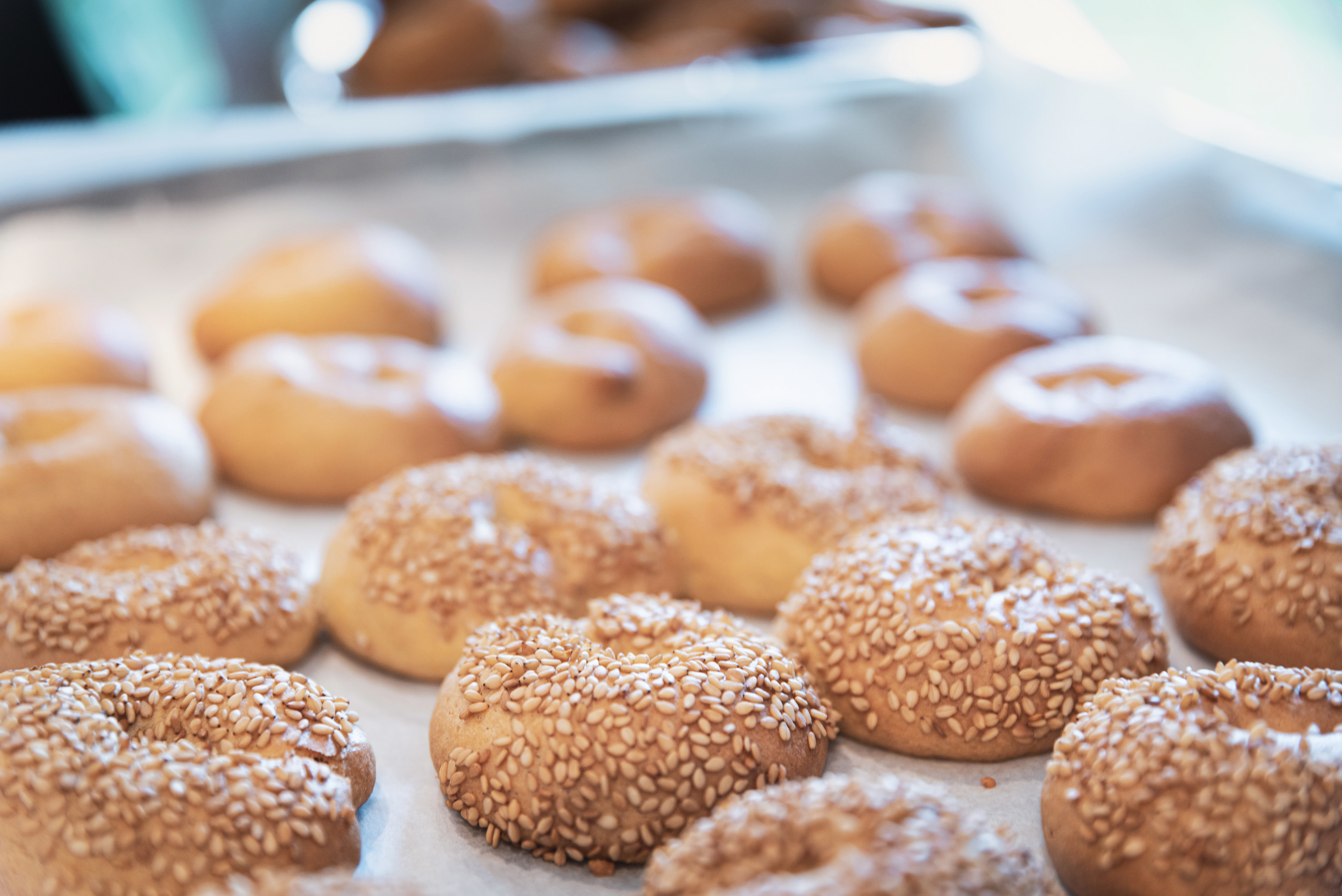 Pan of sesame bagels