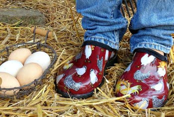 bowl of chicken eggs beside feet wearing the chicken and rooster print version of these shoes