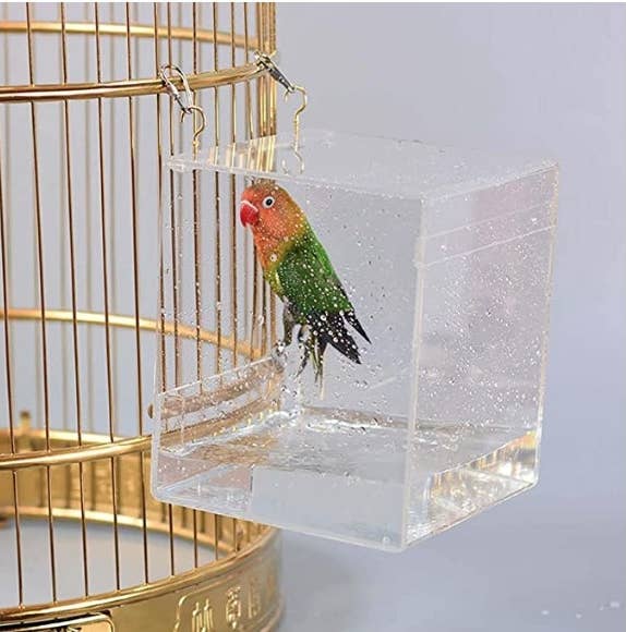 15 Products You Can Use Outside With Your Pet Bird