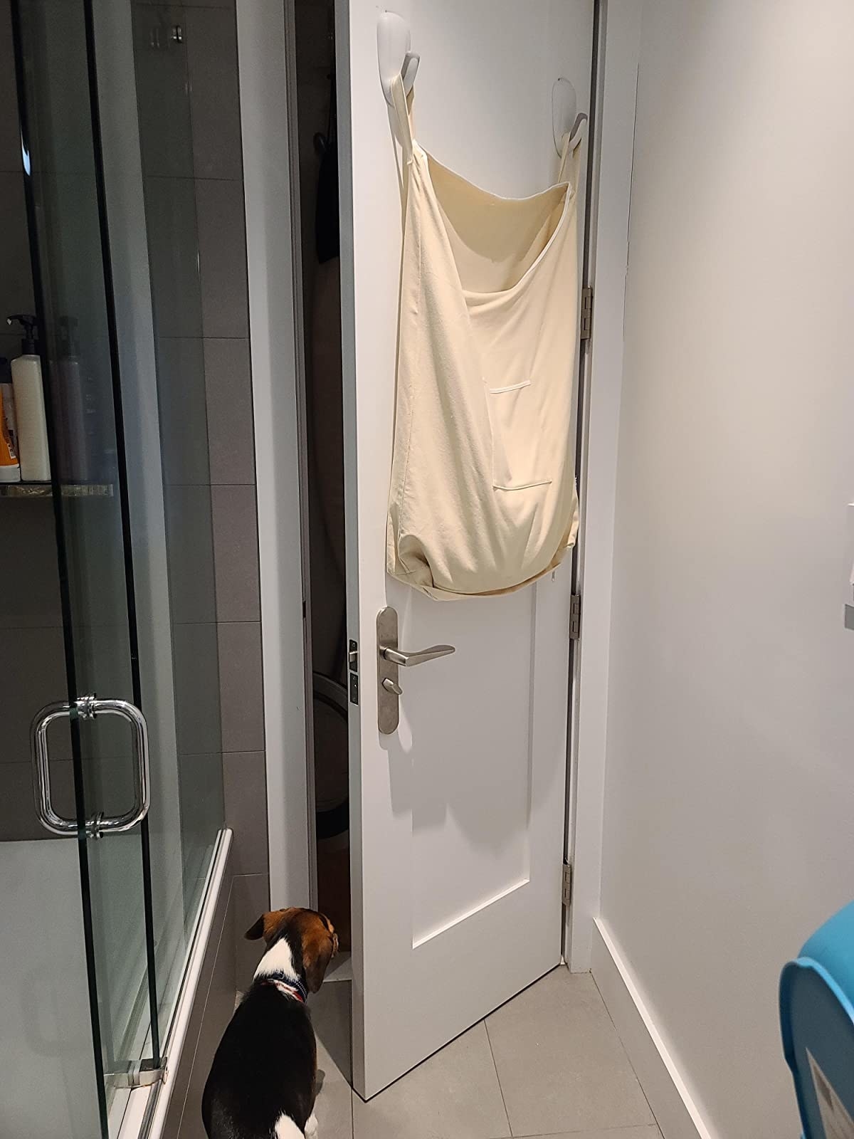 reviewer image of the wenko over-the-door laundry bag hanging behind their bathroom door