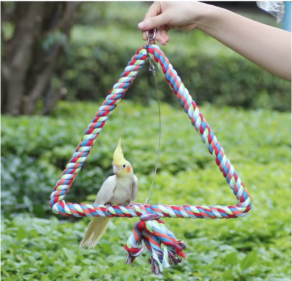 A model holding a triangle rope swing outside with their pet cockatiel perched on it
