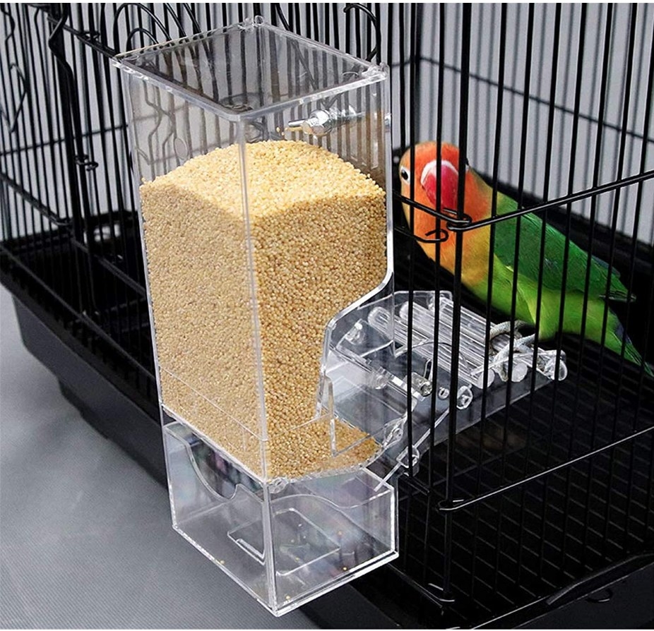 A bird inside a cage standing on the perch station of an automatic bird feeder 