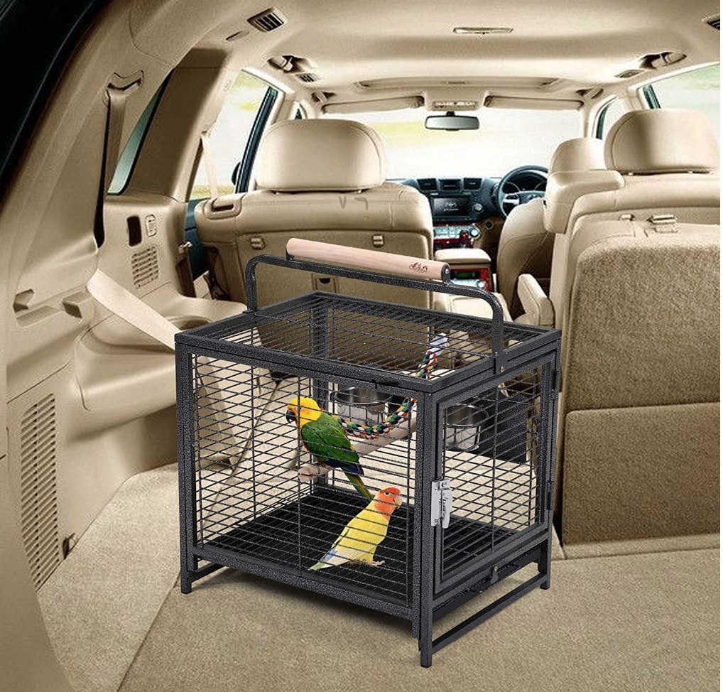 Two birds inside a black, stainless steel portable bird cage inside the trunk of a car