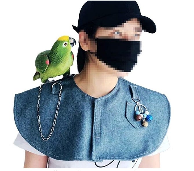 A model wearing a denim blue anti-scratch bird shawl with their pet attached to the belt loop on one shoulder and toys attached to the belt loop on the other shoulder