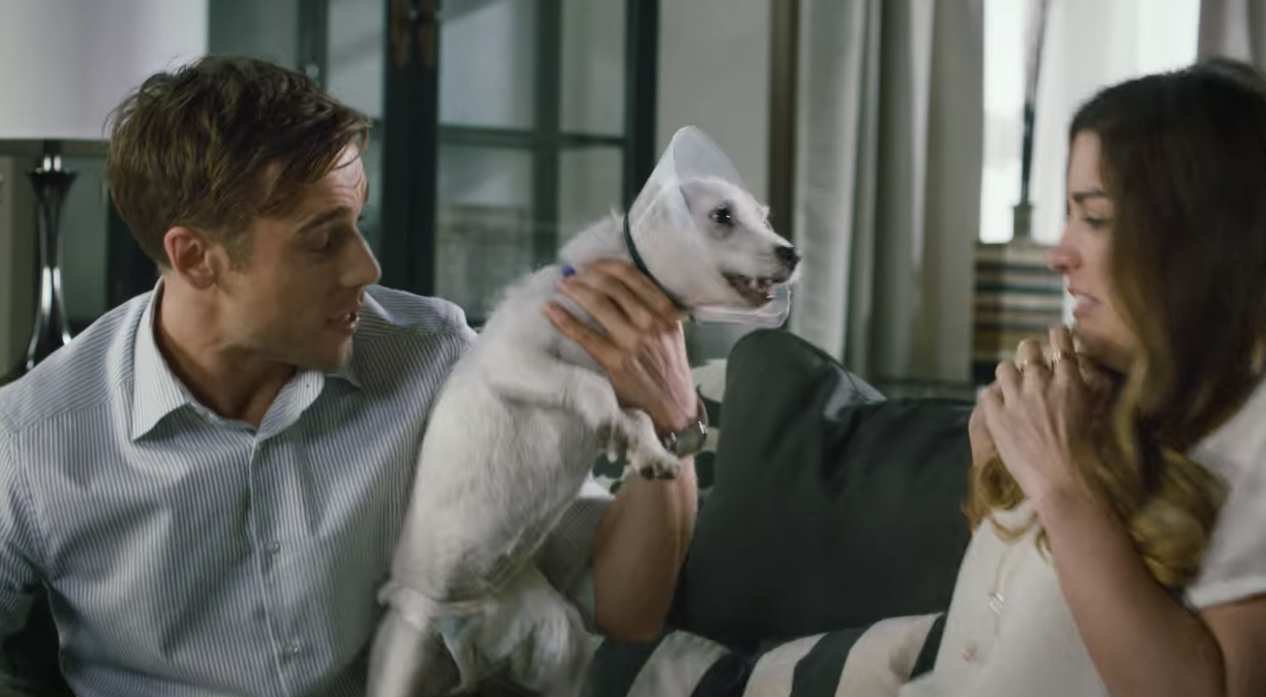 Dustin holding a dog with a cone on it&#x27;s head as a startled woman leans back in Schitt&#x27;s Creek