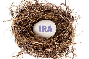 Nest with egg inside labeled IRA