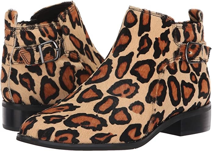ankle boots in a cheetah print with a buckle accent on the ankle