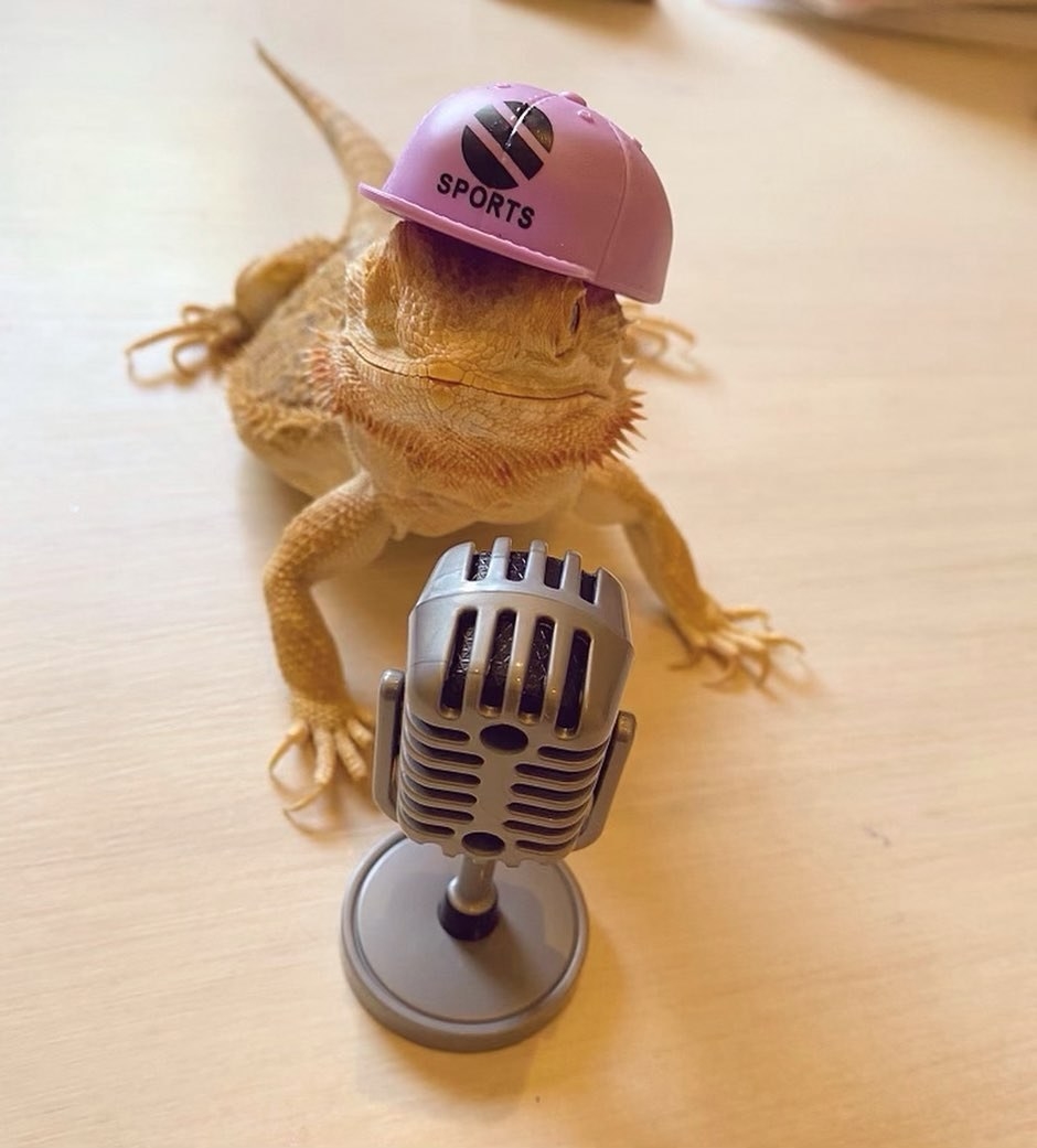 Speed wearing his hat and standing in front of a toy microphone