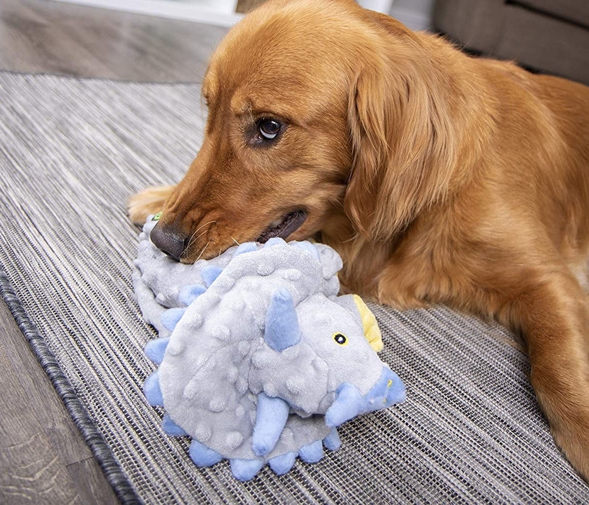 The 17 Best Dog Toys for Aggressive Chewers of 2023: the Toughest Toys  Reviewed