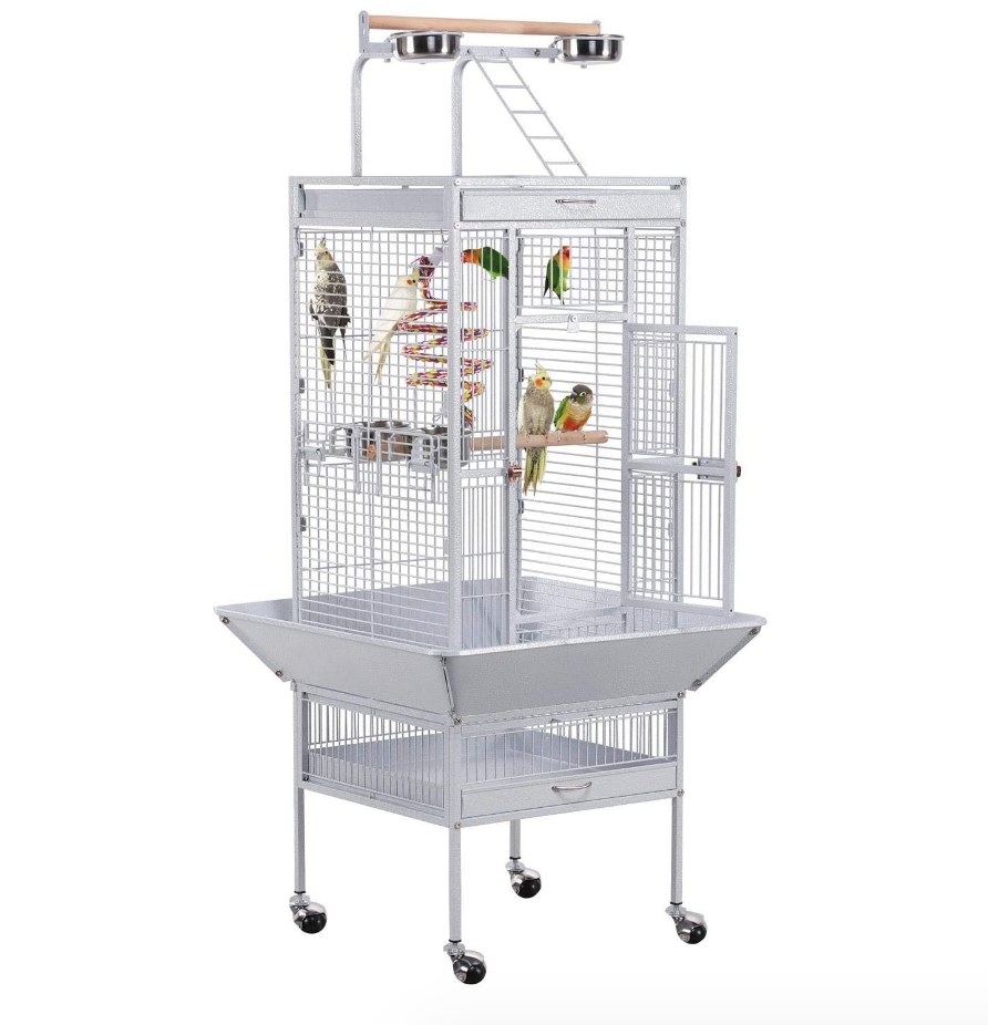 A white bird cage with birds inside perched on the included two wooden perches and one bungee rope