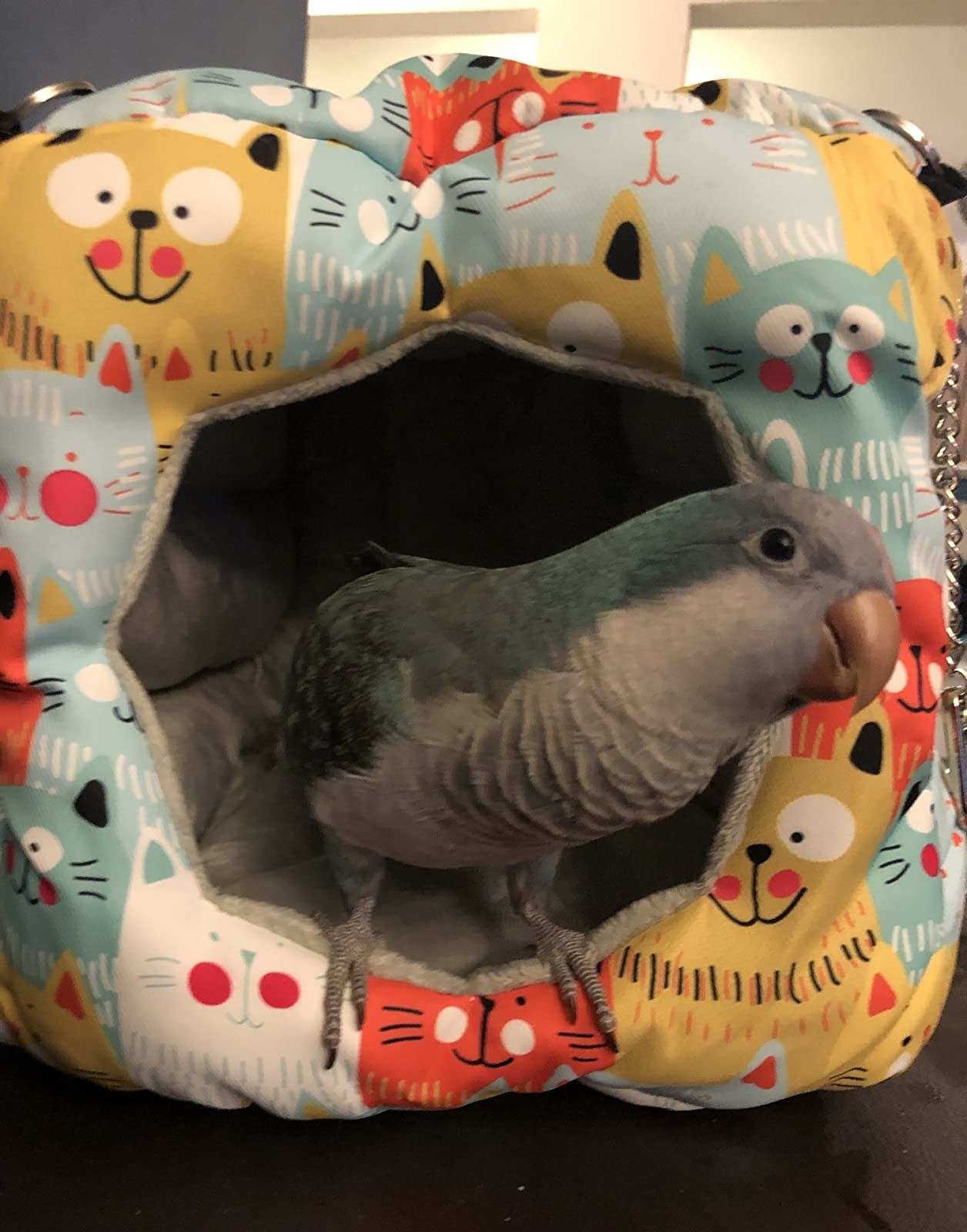 a reviewer&#x27;s bird in a snuggle tent