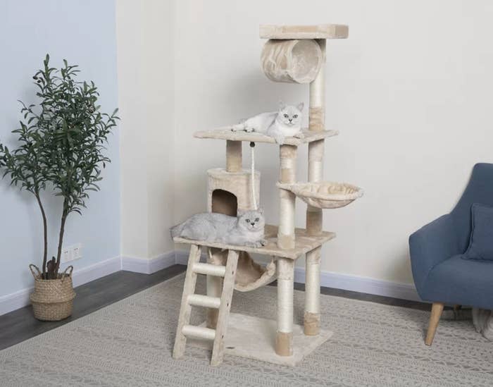 The cat tree in beige occupied by two furry residents