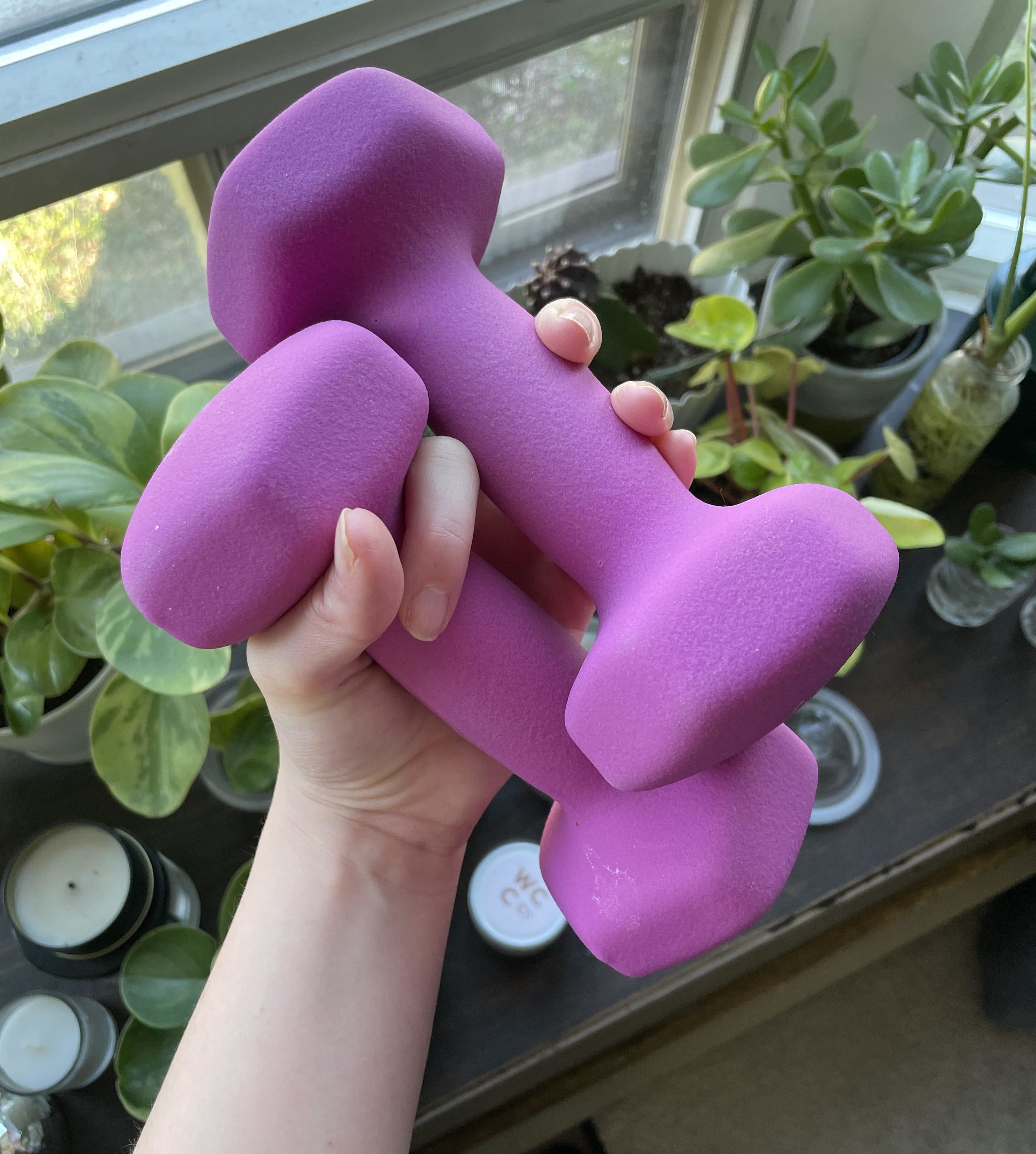A person holding two dumbbells