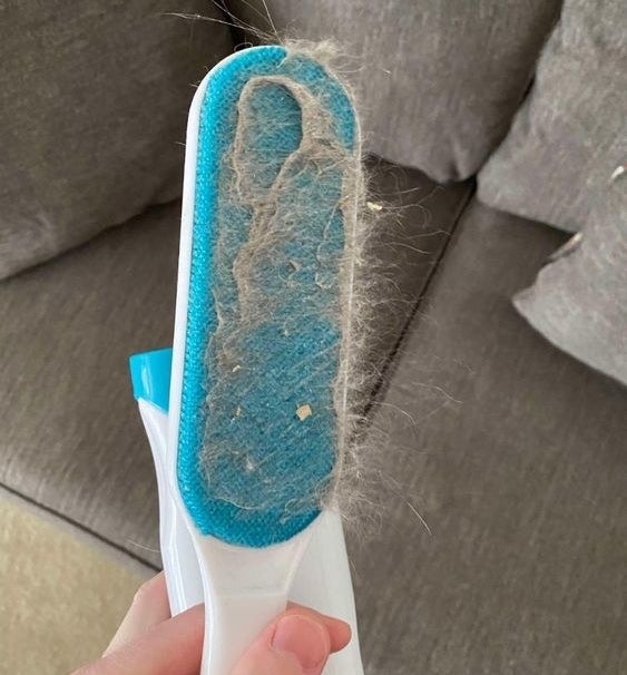 Reviewer&#x27;s picture of fur-removal brush that&#x27;s covered in fur