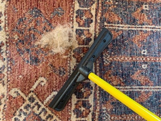 Reviewer sweeping up large clumps of fur from their rug 