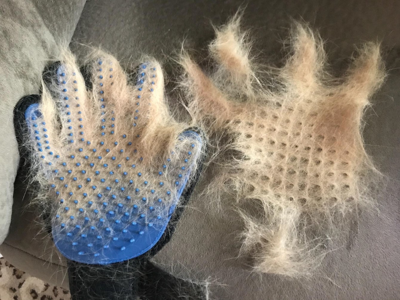 A reviewer's photo of the set of cat deshedding gloves in blue