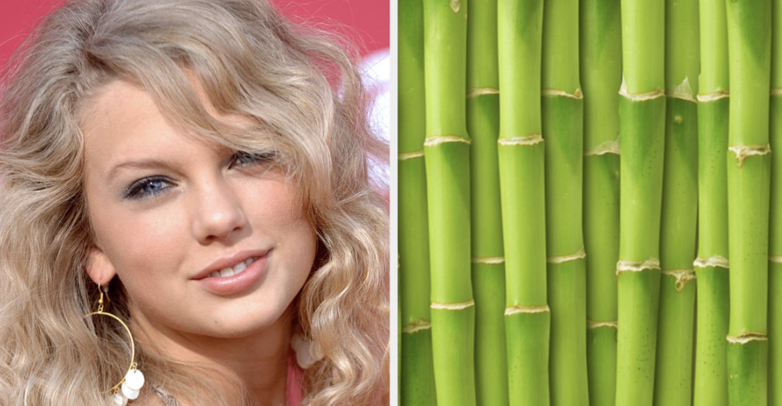 Taylor Swift and bamboo