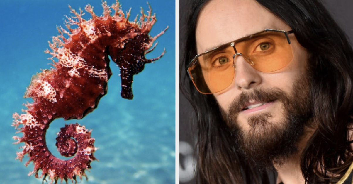 Jared Leto and a seahorse