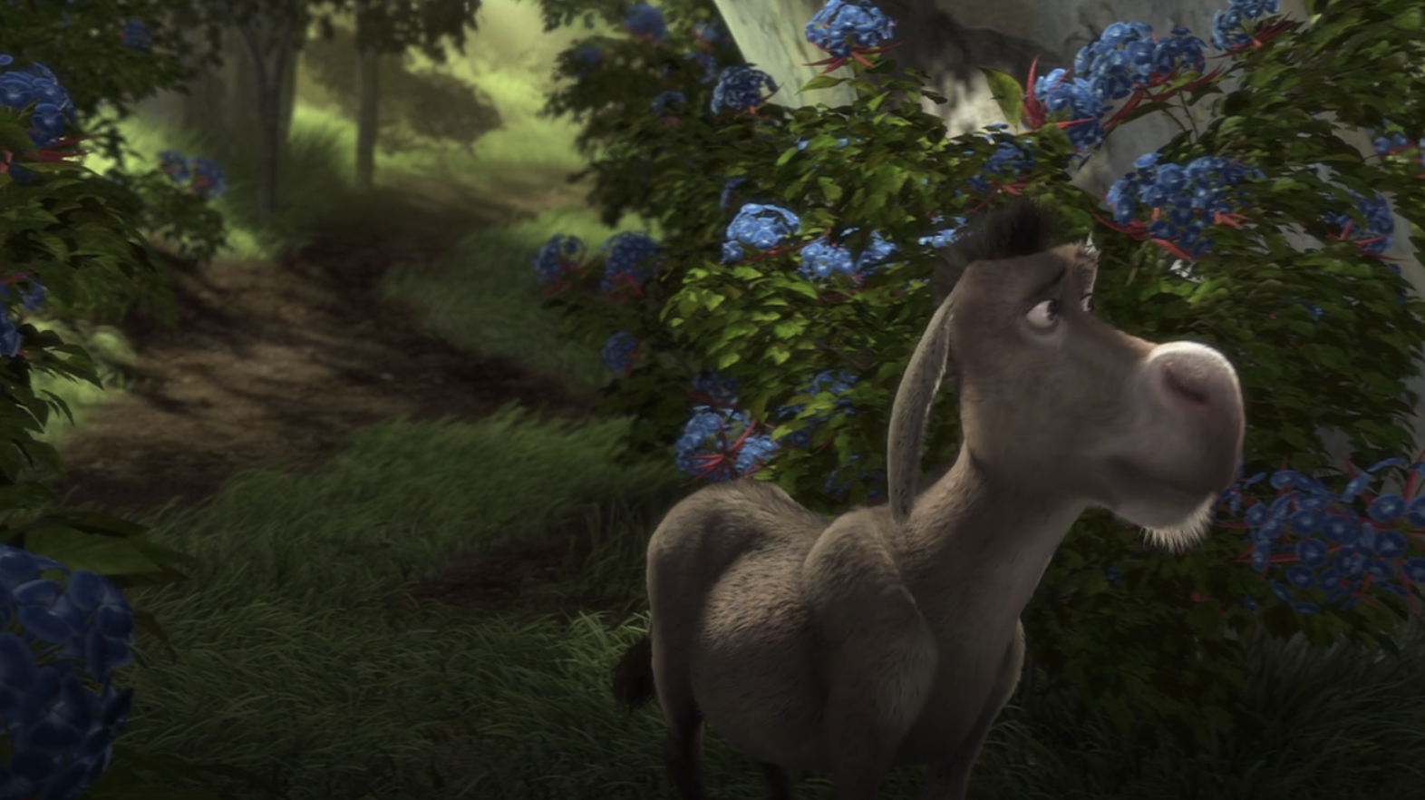 Donkey looking in a field of blue flowers and red thorns  