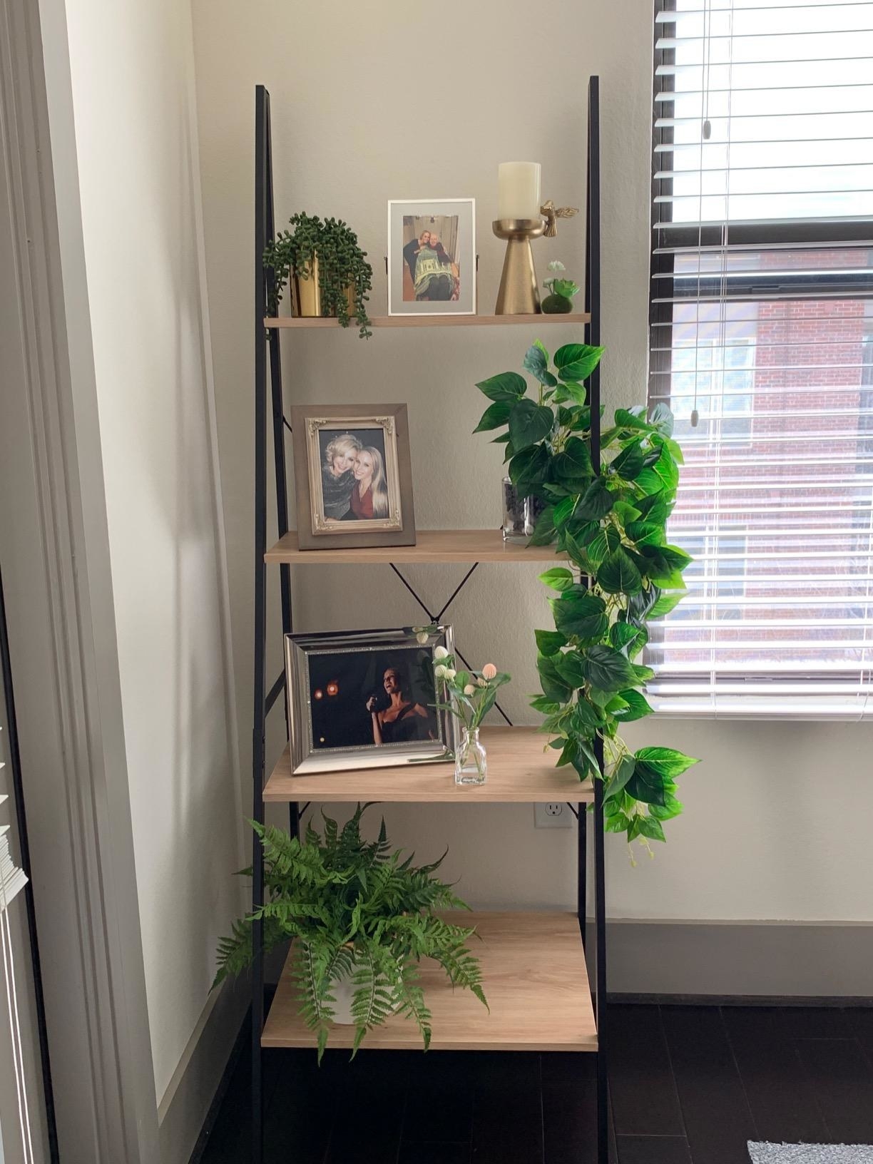 Reviewer&#x27;s photo of a bunch of faux hanging ivy