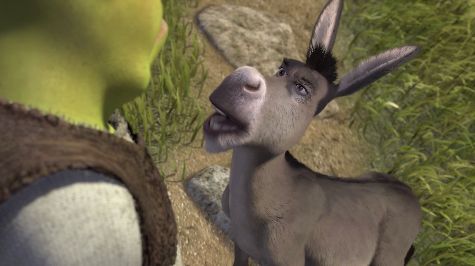 Donkey yelling in Shrek's face. 