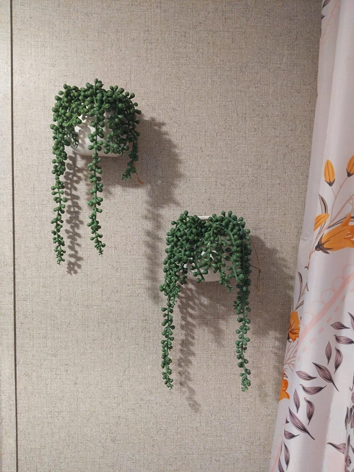 Reviewer&#x27;s photo of two small faux string of pearl plants hung up on a bathroom wall in white vases