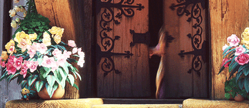 a gif of rapunzel opening the tower window