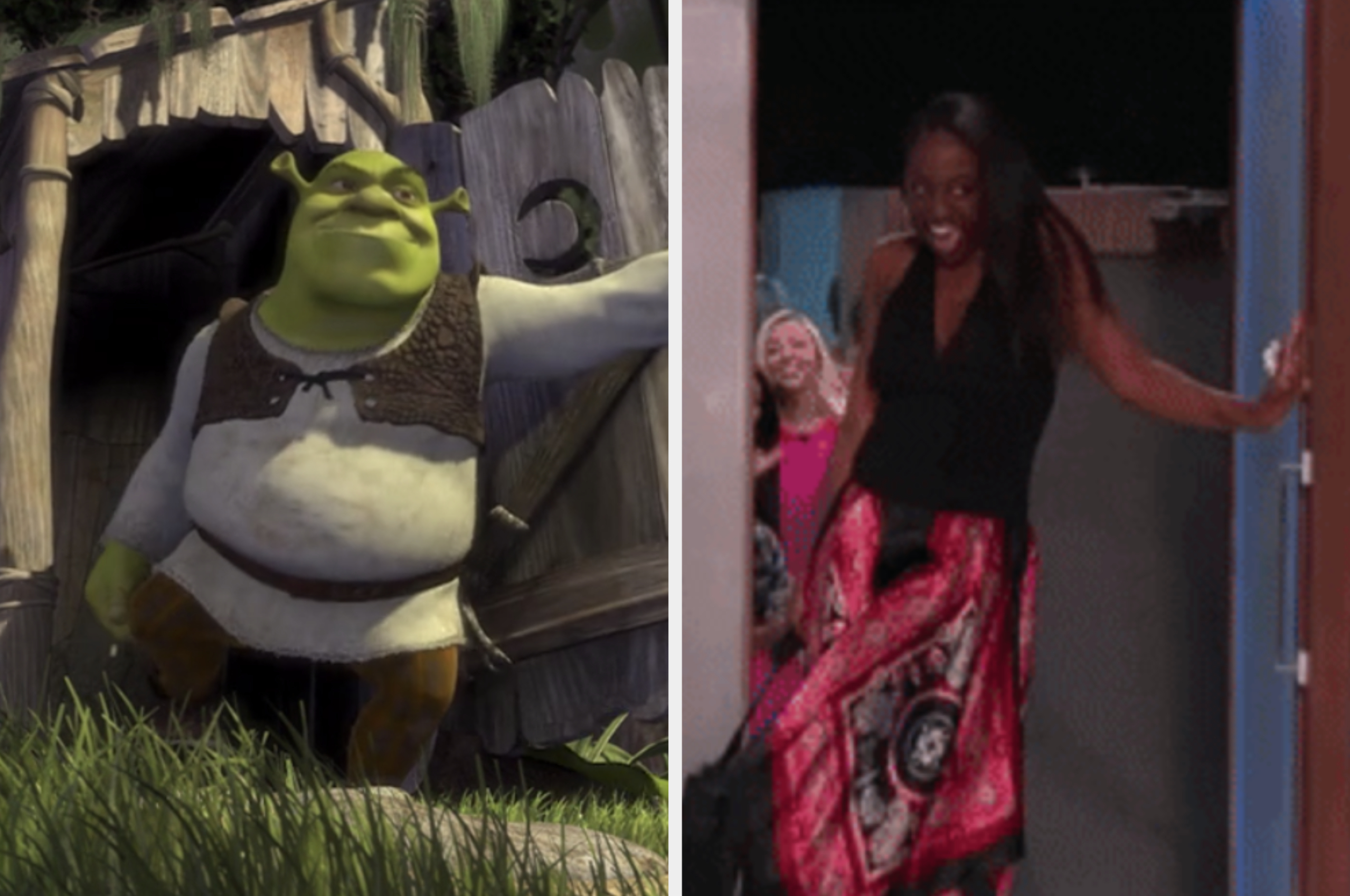 Princess Fiona Donkey Shrek The Musical Lord Farquaad, donkey, animals,  onion, know Your Meme png