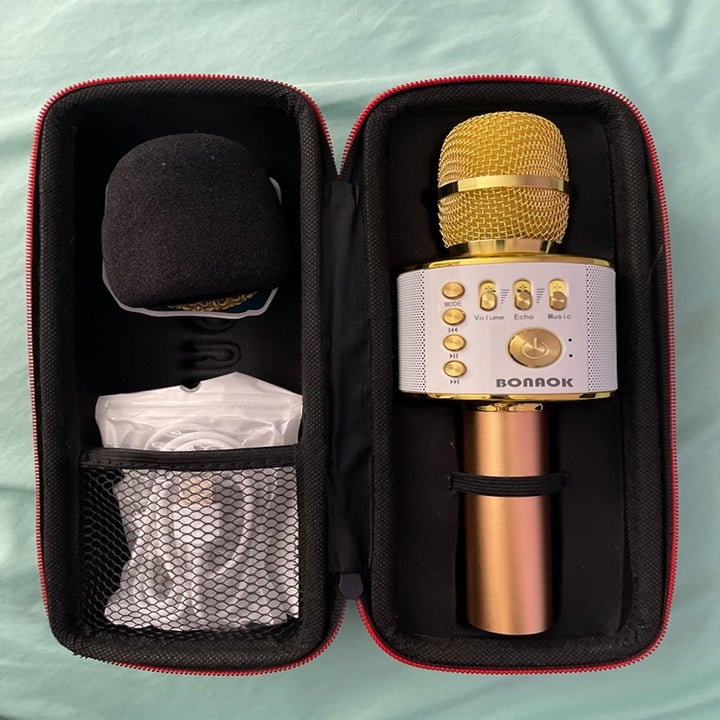 the microphone in gold