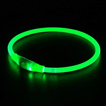 a green glowing collar
