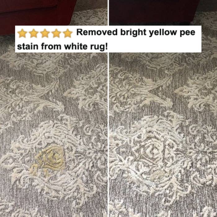 Reviewer&#x27;s before-and-after of pee-stained and then clean carpet with five-star caption &quot;removed bright yellow pee stain from white rug!&quot;