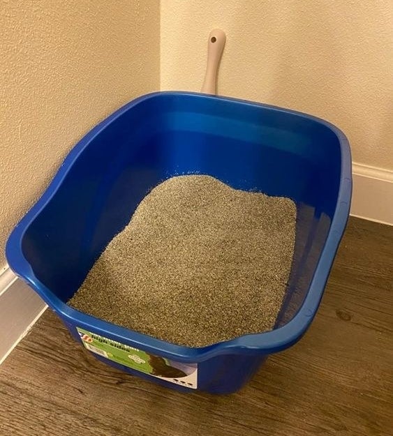 The reviewer&#x27;s photo of the high sided cat litter pan in blue in an amazon box