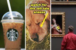 Starbucks drink; sneezing dog; man at museum