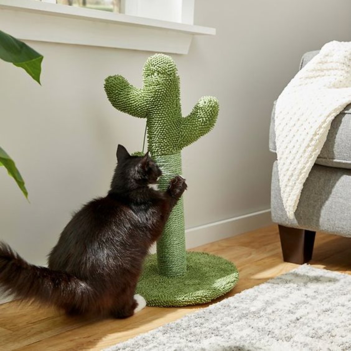 A kitty scratching the cactus shaped post