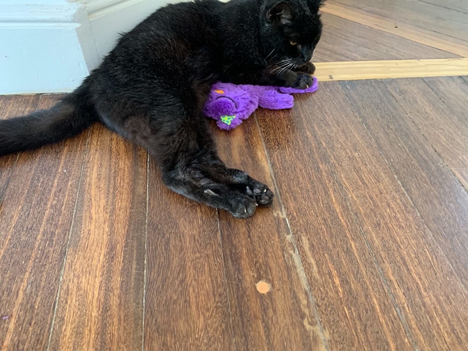 Review photo of cat enjoying the plush toy