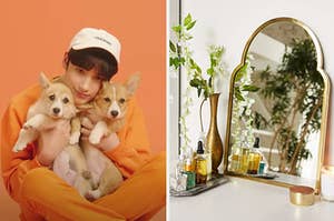 A teen boy is on the left holding two puppies with a mirror leaning on a desk on the right