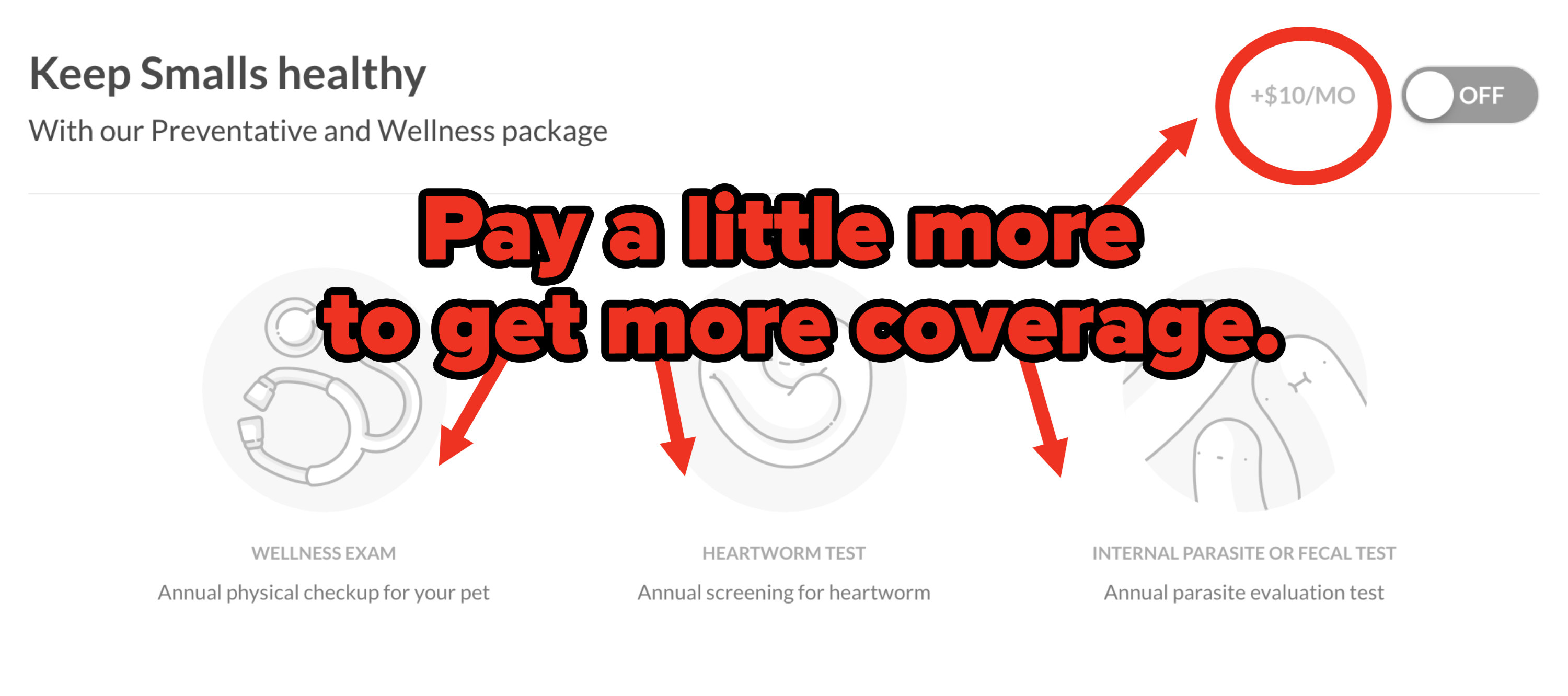 Different tiers of pet insurance coverage on Lemonade